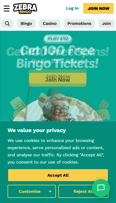 ZebraBingo Casino